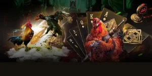 Hướng Dẫn Chơi Đá Gà GA28 Tại GO88 Sảnh Cược Đẳng Cấp