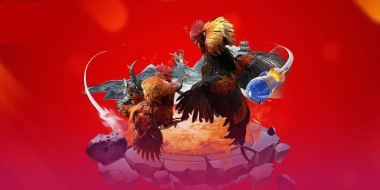 Khám Phá Sảnh Đá Gà GO88 Đỉnh Cao Trải Nghiệm Cược Hấp Dẫn